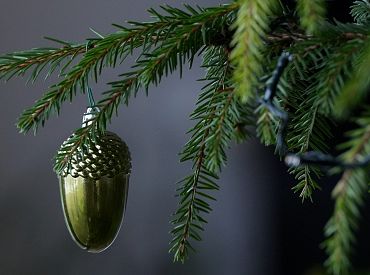 Аттракцион невиданной щедрости: ёлки продают за… один цент?