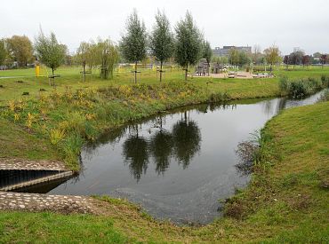Pērn lielākā daļa Rīgas apkaimju nav tikusi pie jauniem kokiem