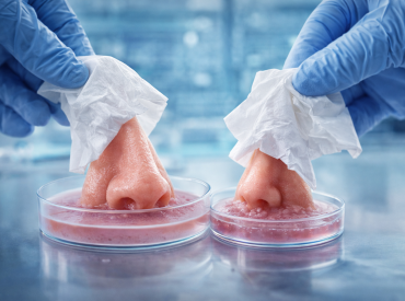 Почему один и тот же насморк по-разному ведёт себя у взрослых и детей: учёные вырастили «мини-носы»