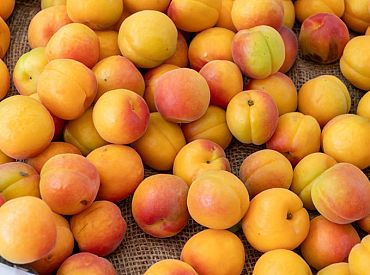 PVD robežkontrolē Afganistānas izcelsmes aprikožu kodolos konstatējis cianīdu