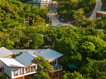 Техмиллиардеры бегут в государства-стартапы  — что на самом деле происходит?