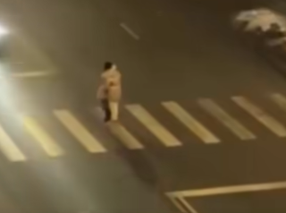 Дикое видео: мама переносит малыша через дорогу (ВИДЕО)