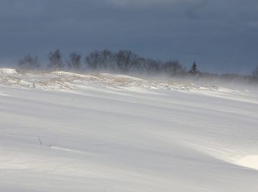 Зима крепчает: в пятницу — метель, а на следующей неделе до минус 20