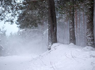 Ледяной дождь вроде отменяется, но снегом нас точно завалит: что обещают синоптики