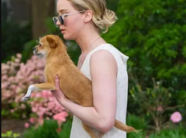 Актриса отдала собаку родителям и… разозлила интернет