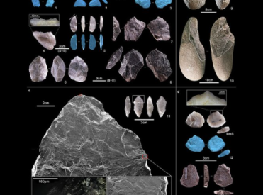 Люди каменного века оказались умнее, чем мы думали: в Китае нашли «продвинутые» инструменты