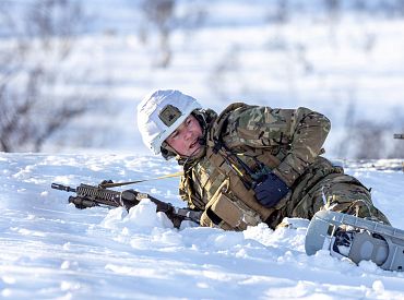 А мы вас через Гугл! Европа придумала как окоротить амбиции Трампа в Гренландии