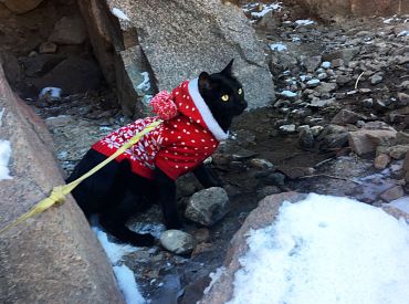 Наденем свитера и понизим температуру в домах: свежая идея