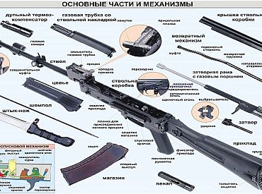 The Times нашла странную школу. Оружие, конспирология и симпатии к Путину