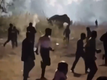 Люди пытаются спастись от слона-убийцы — и это не фильм ужасов!