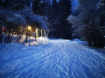 В приюте Ulubele из-за морозов лопнула канализация: нужна помощь