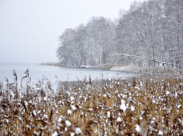 Februāra pēdējā nedēļā laika apstākļi Latvijā būs mainīgi