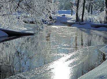 Зима высасывает силы? Эти 4 привычки неожиданно помогают пережить холодный сезон