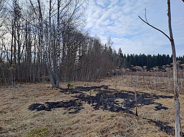 Национальные вооруженные силы опубликовали фото с места падения дрона