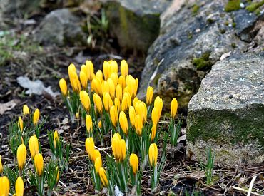Весна пришла! Обещают солнце и до +15 градусов уже на следующей неделе