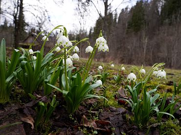 Ночью ожидается легкий мороз, зато суббота будет солнечной