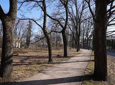 В пятницу обещают тёплый день и порывы ветра до 16 м/с
