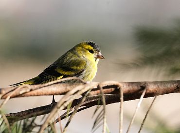 Marta vidus bijis piecus grādus siltāks nekā ierasts