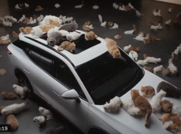 Милота: Omoda показала шумоизоляцию C7 с помощью… котиков (ВИДЕО)