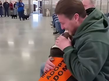 В Канаде собаки из приюта сами выбирают себе хозяев: вот как это происходит (ВИДЕО)