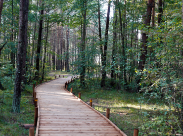 Кто стрелял в женщину в рижском лесу? Пострадавшая неделю ходила с пулей у позвоночника
