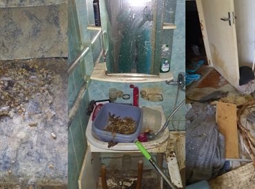 В Иманте полиция обнаружила квартиру с десятками истощенных животных