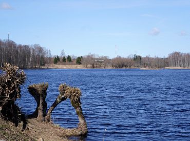 Gaisa temperatūra ceturtdien nepārsniegs +8 grādus