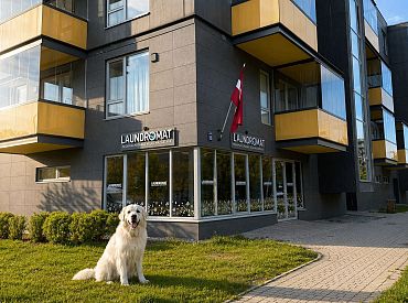 «Laundromat» призывает во время Большой толоки не забывать о стирке текстиля