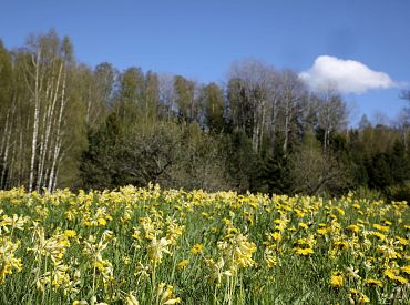 Nedēļas nogalē gaidāms daļēji mākoņains un mēreni silts laiks