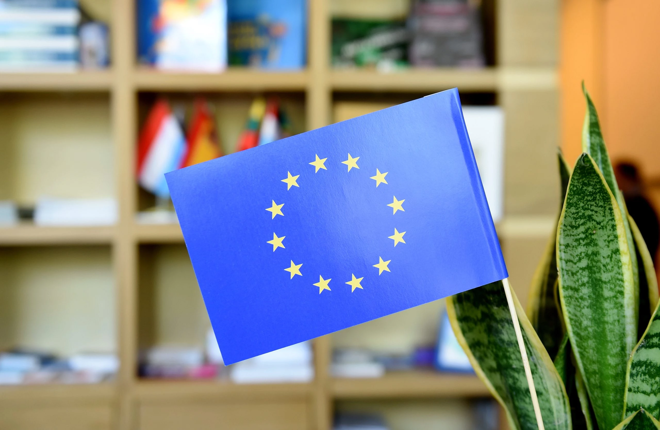FT: Евросоюз готовит торговые льготы для Армении