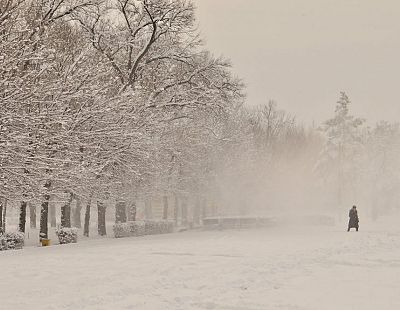 Желтое предупреждение по Латвии о продолжительном снегопаде: где и когда?