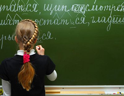 Эти «загадочные» языковые поправки: не против русского языка, а за то, чтобы у учащихся было право выбора
