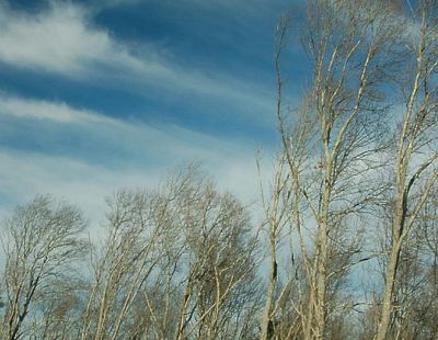 Не так страшна буря, как её прогноз: ветер будет слабее, чем ожидалось