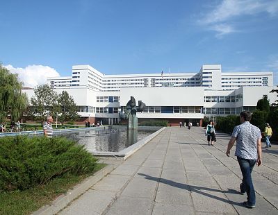 Двери больницы убили сотрудницу. Начат уголовный процесс