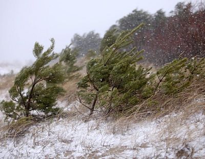 На Латвию идёт снежная буря: обновлённый прогноз на выходные