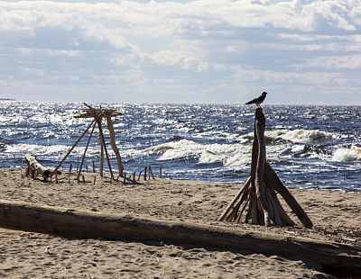 «Мы все пострадаем». Швеция предупреждает: Россия может создать «экологический хаос» в Балтийском море