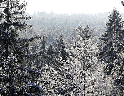 Naktī gaisa temperatūra vietām noslīdējusi zem -25 grādiem