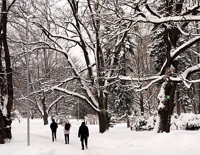 И снова сильные снегопады: жёлтое предупреждение — местами по Латвии