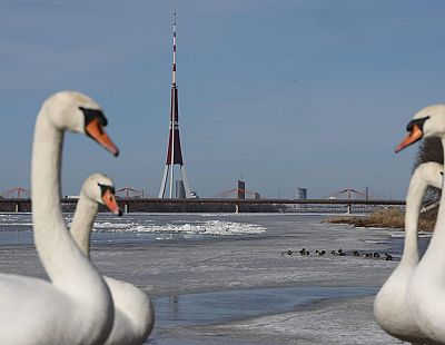 Trijās novērojumu stacijās pārspēts 7. marta siltuma rekords