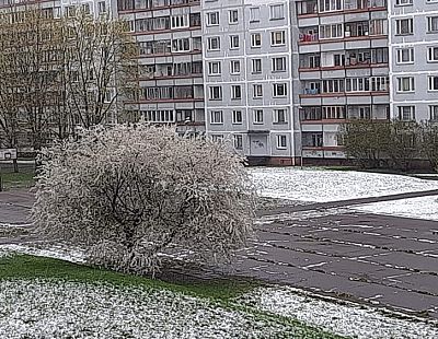 В конце недели снова обещают мороз и снег — сколько еще терпеть?