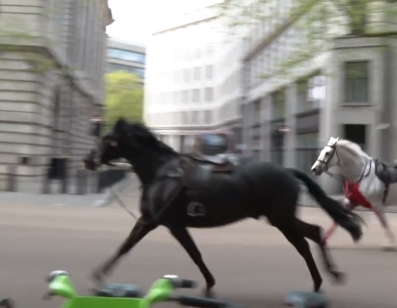 Сбежавшие лошади пронеслись по центру Лондона (ВИДЕО)