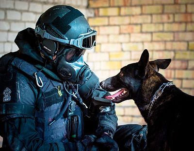 В школу нагрянул полицейский рейд с собаками: что случилось?