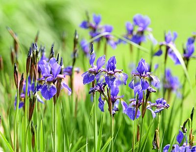 Уже до +16: погода во вторник