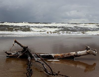 Готовимся к буре: рижан просят в воскресенье не посещать парки, игровые площадки и кладбища