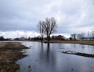 Šogad Latvijā nav bijis neviena aukstuma viļņa