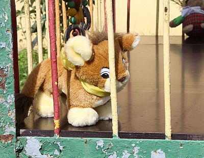 «Почему не прямо из роддома?!» Новость из Лиепаи вызвала возмущение в соцсети