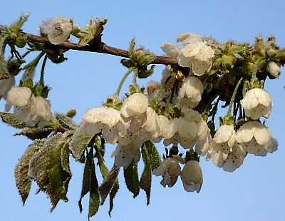 Тёплым будет только один день: какую погоду синоптики обещают нам на длинные выходные?