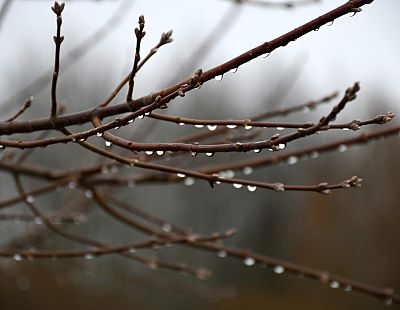 Синоптики о субботу: осадков не будет, но появится туман