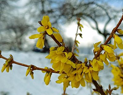 Синоптики предупреждают: в конце апреля ожидаются снег, град и заморозки