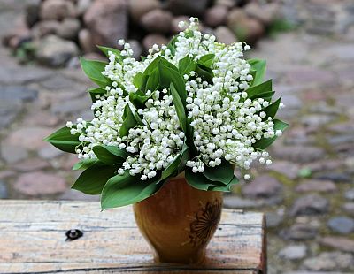 Nedēļas nogalē gaidāms pārsvarā saulains un vējains laiks